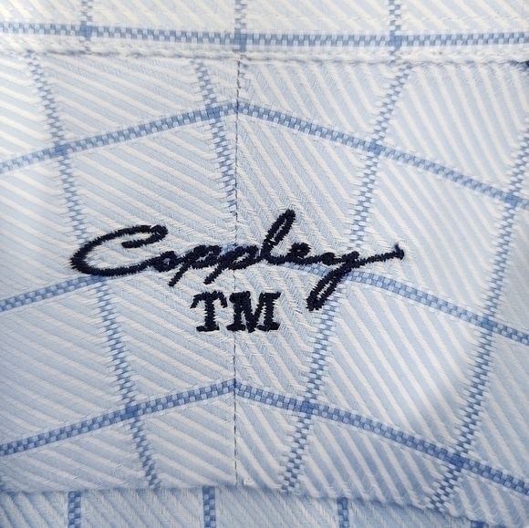 Coppley Men's Blue Check Pattern Button Down Point Collar Tailor Made Shirt - Picture 5 of 16